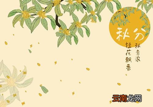 秋分是中秋节吗,秋分是什么节