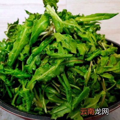 比海鲜还鲜的荠菜馅饺子 荠菜饺子馅怎么调才好吃
