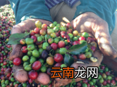 三分钟教会你咖啡如何正确喝 美式咖啡正确喝法