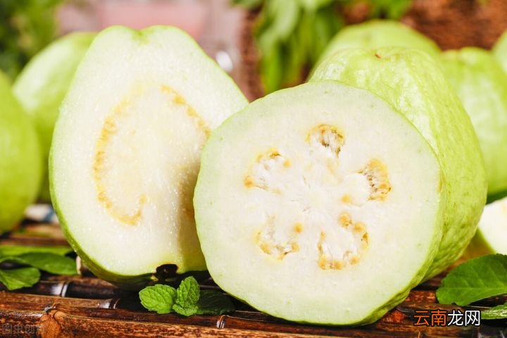 芭乐和什么水果味道像 番石榴好吃吗什么味