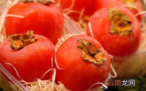 柿子是酸性还是碱性 柿饼是酸性还是碱性食物