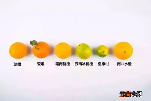 吃橙子上火吗 橙子上火还是下火