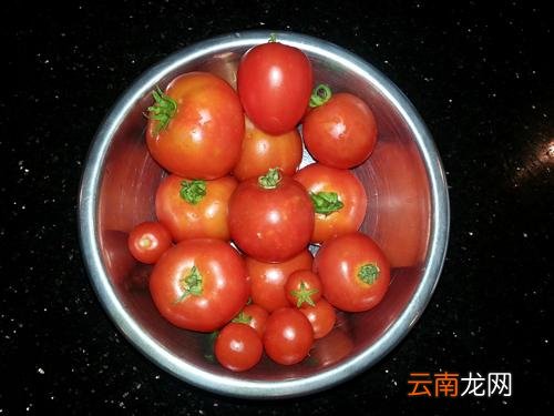 微波炉放金属会爆炸吗,微波炉里能放纸袋吗