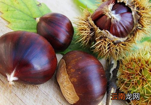 板栗生吃会拉肚子吗,生吃板栗有什么好处