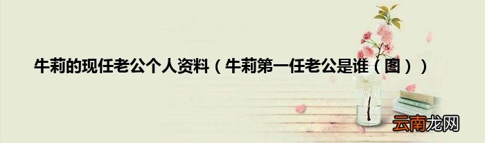 牛莉第一任老公是谁（图 牛莉的现任老公个人资料）