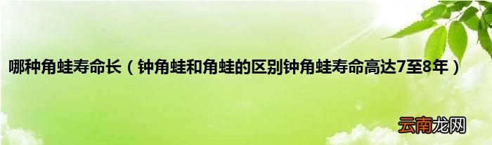 钟角蛙和角蛙的区别钟角蛙寿命高达7至8年 哪种角蛙寿命长