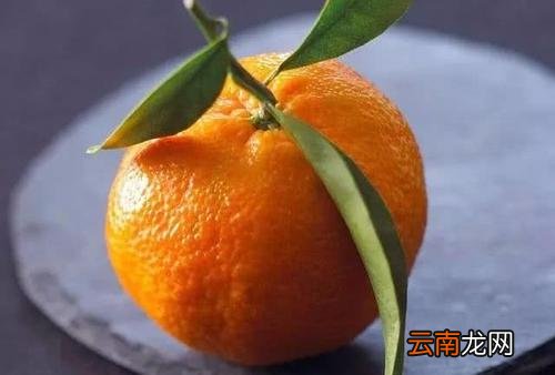 吃橘子到底是“上火”还是败火 吃橘子上火还是降火
