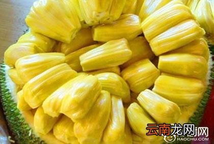 菠萝蜜吃多了会怎样 菠萝蜜是凉性还是热性