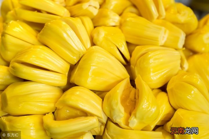 菠萝蜜属于什么样的水果 菠萝蜜是凉性还是热性