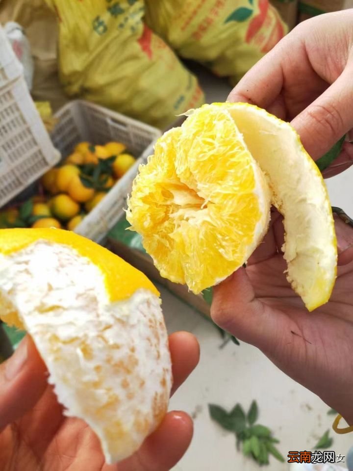 吃赣南脐橙会上火吗 橙子吃多了会上火吗