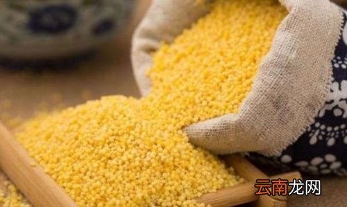 小米粥会养胃吗