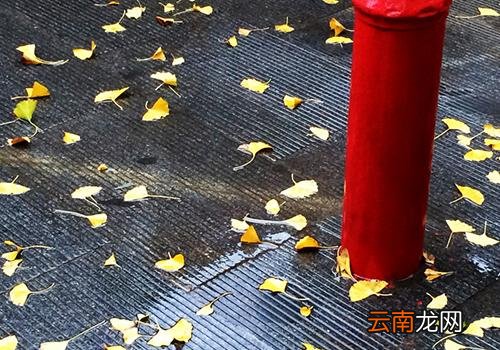 处暑下雨好吗,处暑下雨万人愁
