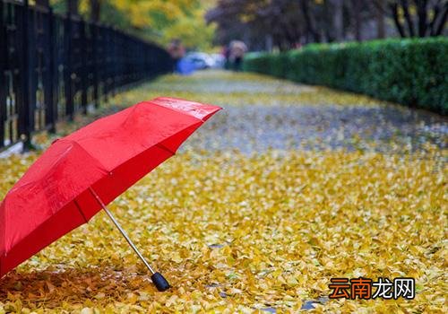 处暑下雨好吗,处暑下雨万人愁