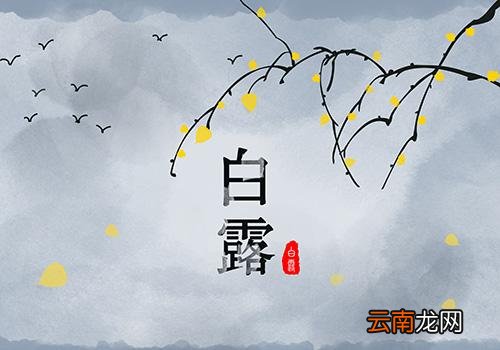 白露是什么季节,白露节气是什么时候