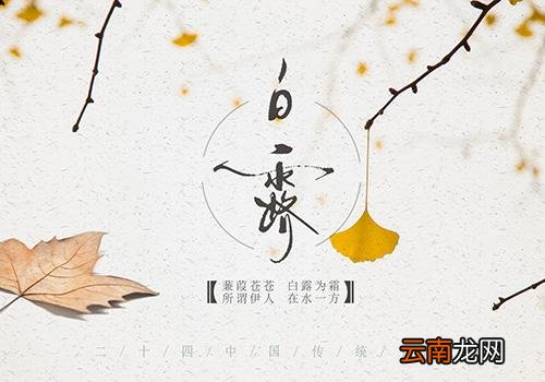 白露是什么季节,白露节气是什么时候