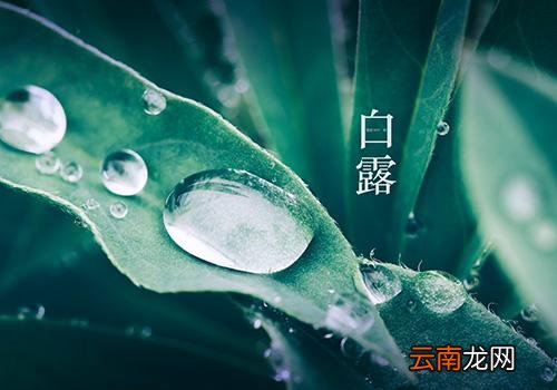 白露是什么季节,白露节气是什么时候
