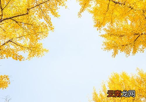 秋天为什么叫秋老虎,十八个秋老虎都叫什么