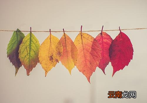秋天为什么叫秋老虎,十八个秋老虎都叫什么