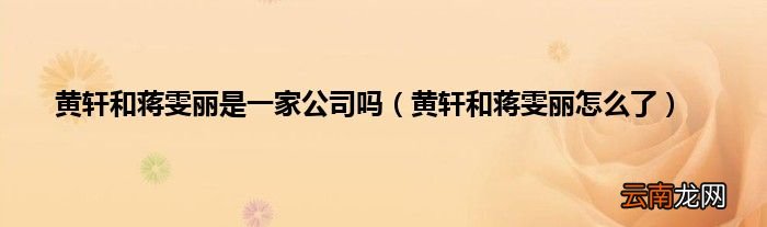 黄轩和蒋雯丽怎么了 黄轩和蒋雯丽是一家公司吗