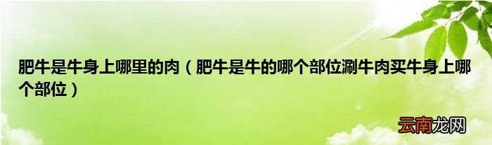 肥牛是牛的哪个部位涮牛肉买牛身上哪个部位 肥牛是牛身上哪里的肉