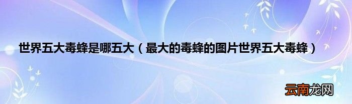 最大的毒蜂的图片世界五大毒蜂 世界五大毒蜂是哪五大