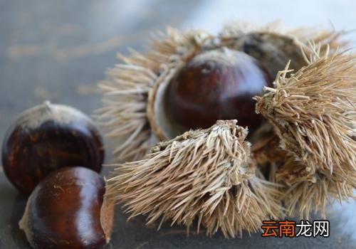 板栗放久了干了怎么办,生板栗干了还能吃吗