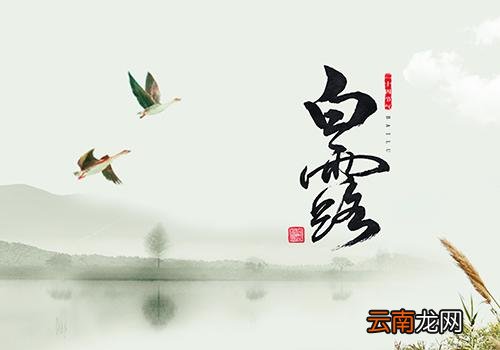 2018白露是几月几日,白露节气是什么时候