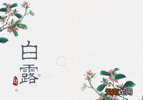 2018白露是几月几日,白露节气是什么时候