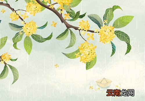 2018白露是几月几日,白露节气是什么时候
