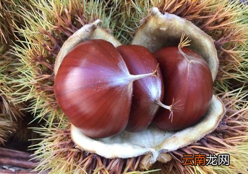 糖尿病人可以吃板栗吗,糖尿病人吃板栗有什么好处