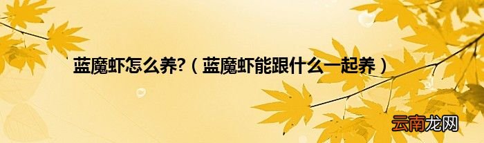 蓝魔虾能跟什么一起养 蓝魔虾怎么养?