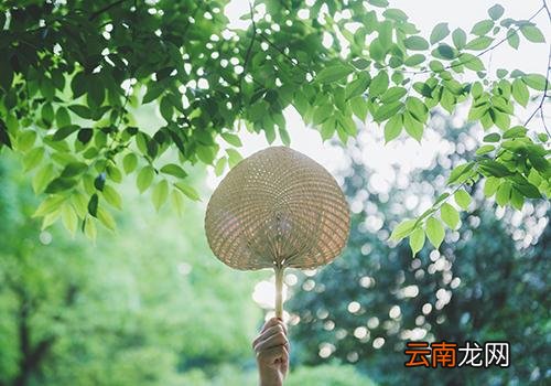 秋分为什么都是9月23日,春分夏至秋分冬至时间