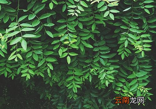 秋分为什么都是9月23日,春分夏至秋分冬至时间