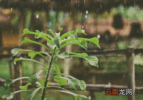 出伏后就凉快了吗,出伏后还能热多长时间