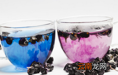 黑枸杞泡水前要洗吗 黑枸杞泡水喝的正确方法