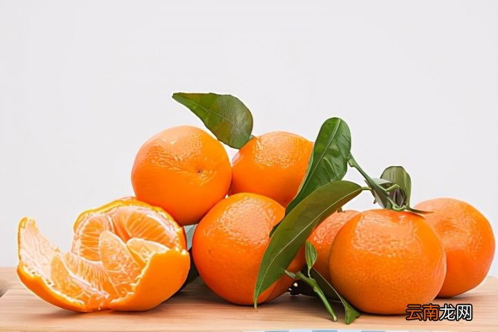 柑橘属寒性食物 桔子是热性还是凉性