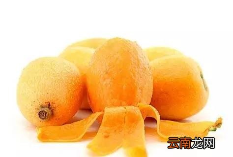 解锁枇杷的四种吃法 枇杷果的正确吃法