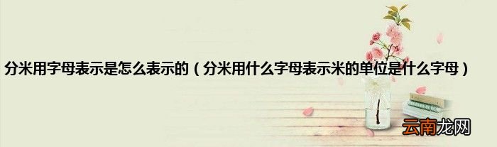 分米用什么字母表示米的单位是什么字母 分米用字母表示是怎么表示的