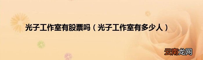 光子工作室有多少人 光子工作室有股票吗