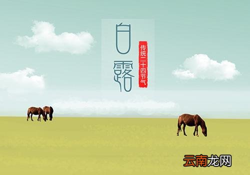 白露过后还热吗,白露过后是什么节气