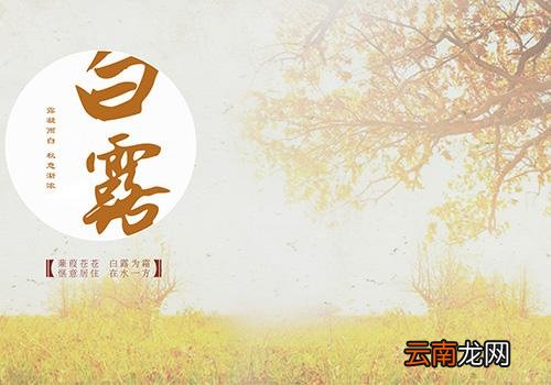 白露过后还热吗,白露过后是什么节气