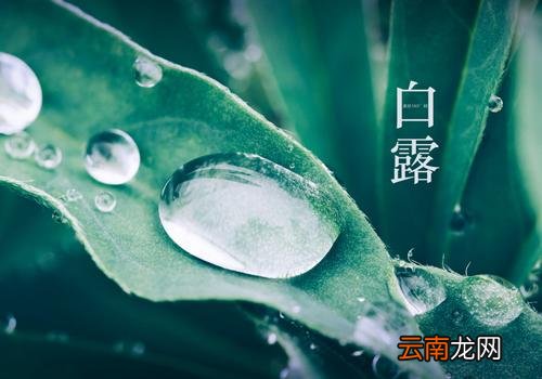 白露之后还热吗,白露之后还有秋老虎吗