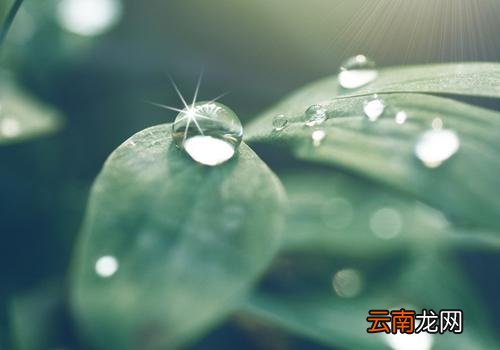 白露之后还热吗,白露之后还有秋老虎吗