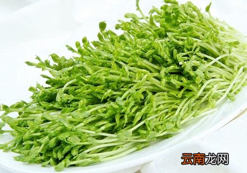 豆芽怎么保存过夜,豆芽放冰箱能放几天
