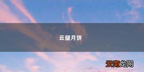 云腿月饼是肉馅的吗 云腿月饼