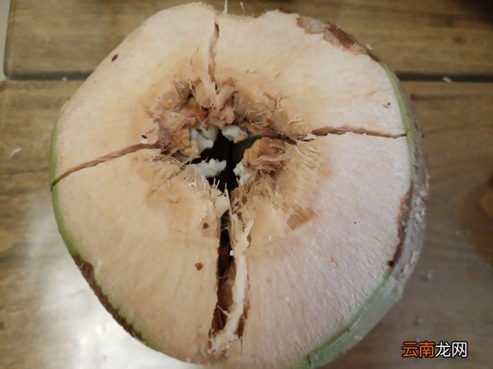 教你取出椰子肉的方法 椰子怎么打开吃椰肉