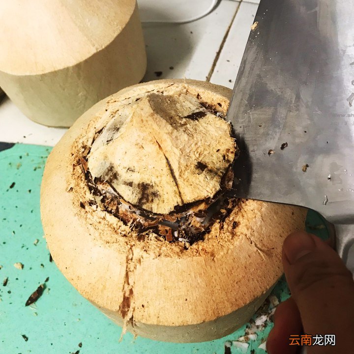 教你取出椰子肉的方法 椰子怎么打开吃椰肉
