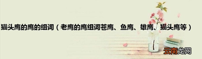 老鹰的鹰组词苍鹰、鱼鹰、雄鹰、猫头鹰等 猫头鹰的鹰的组词