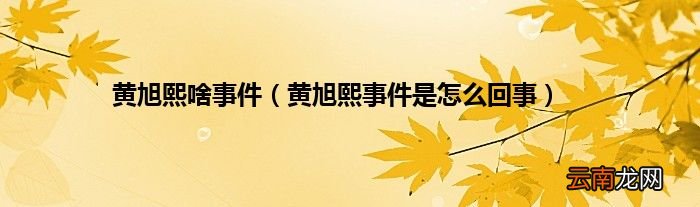黄旭熙事件是怎么回事 黄旭熙啥事件
