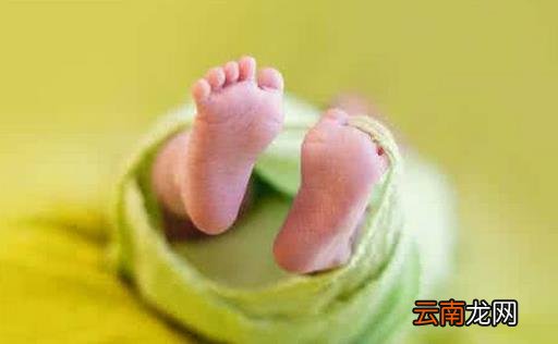 宝宝不吃奶粉怎么办?